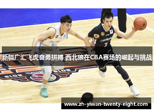 新疆广汇飞虎奋勇拼搏 西北狼在CBA赛场的崛起与挑战